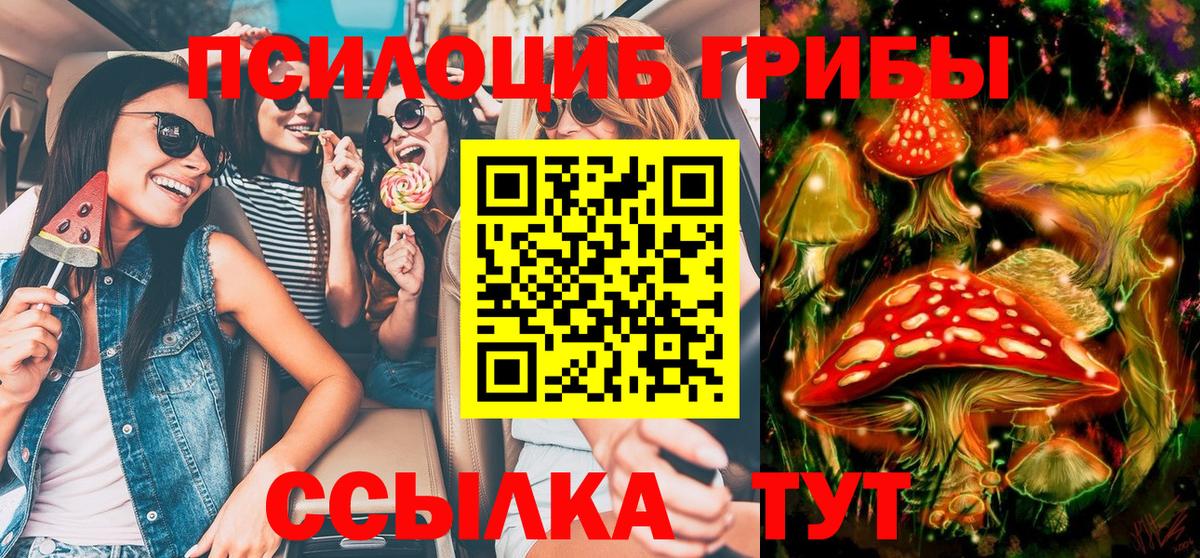 Псилоцибиновые грибы мухоморы Боровичи
